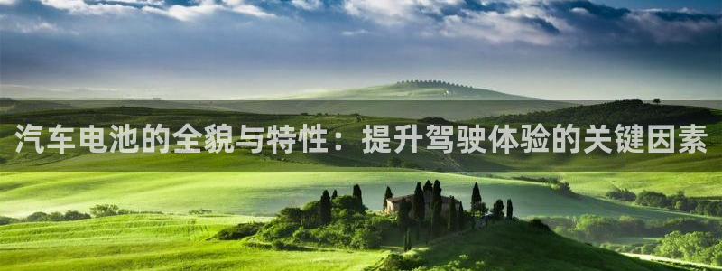 优发国际官网网站入口：汽车电池的全貌与特性：提升驾驶体验的关键因素