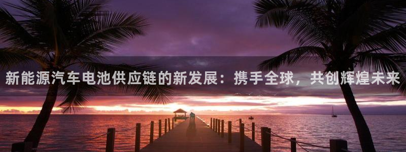 优发国际登录r8：新能源汽车电池供应链的