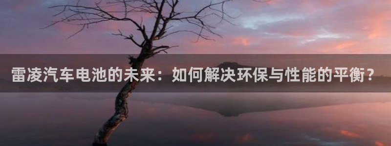 优发娱乐pt官网客户端：雷凌汽车电池的未来：如何解决环保与性能的平衡？