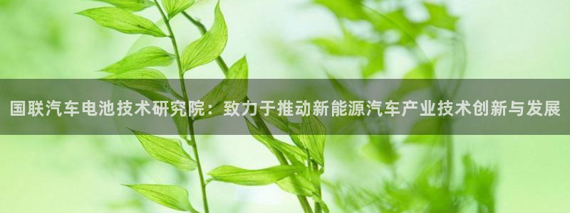 优发国际一首页：国联汽车电池技术研究院：