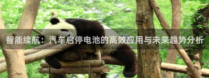 优发国际youfa：智能续航：汽车启停电