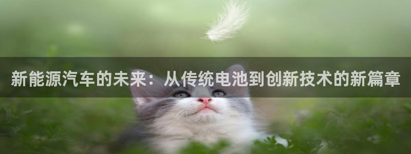 优发国际首页首页登录：新能源汽车的未来：从传统电池到创新技术的新篇章
