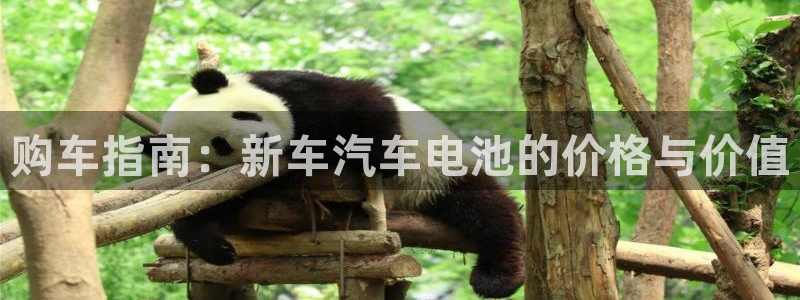 优发国际客服联系方式查询