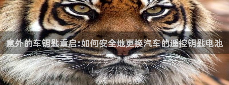 优发娱乐官网app下载