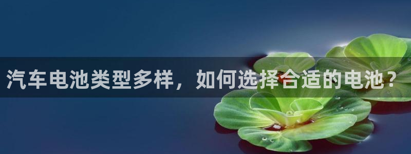 优发国际登录r8