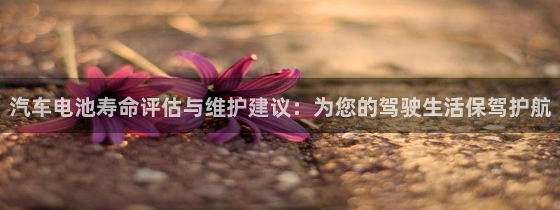 优发国际手机版下载官网