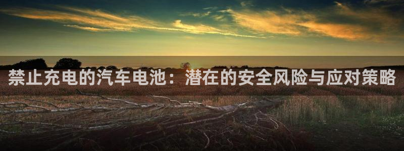 优发国际VIP网址