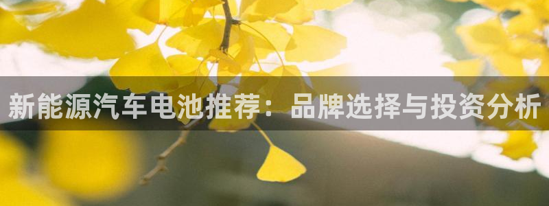 优发国际登录app