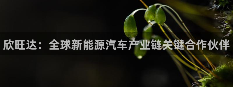 优发国际下载安装app