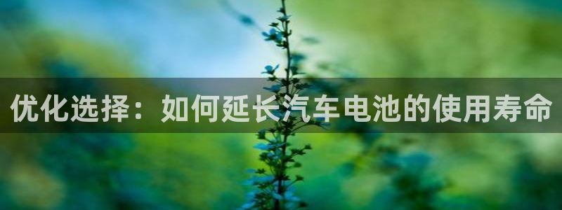 优发国际官网下载app