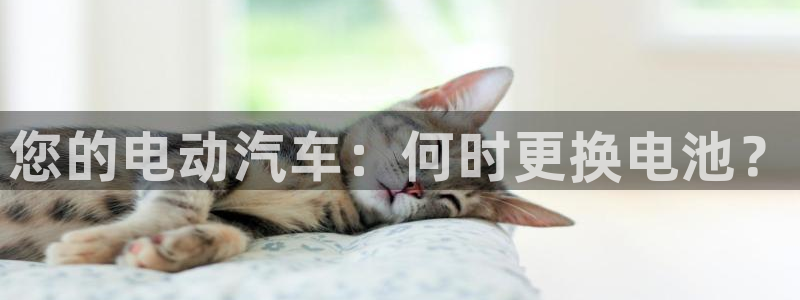 优发国际网官网17w8