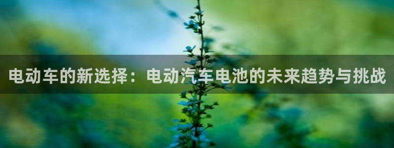 优发国际平台网站