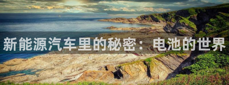 优发国际手机客户端下载安装手机版