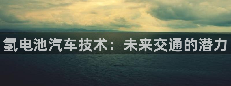 优发国际youfa966