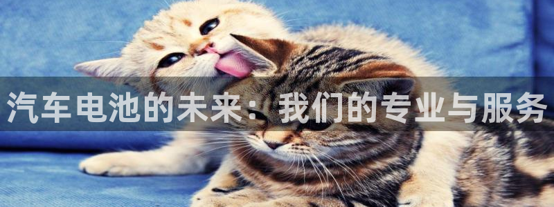 优发国际手机登录下载安装官网