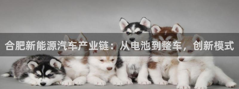 优发国际的网站是