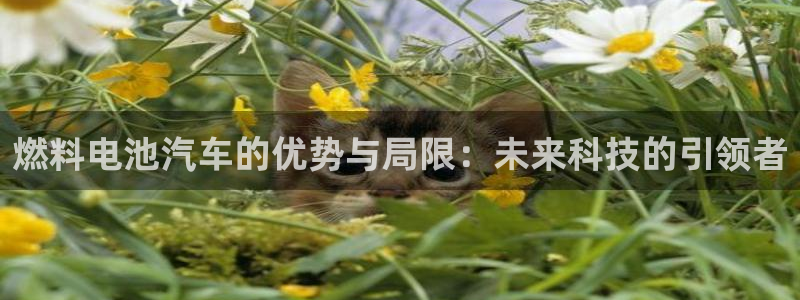 优发国际游戏官方网站入口