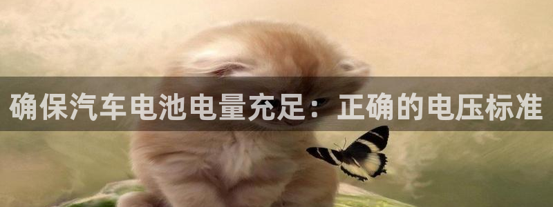 优发国际娱乐官网多少?：确保汽车电池电量充足：正确的电压标准