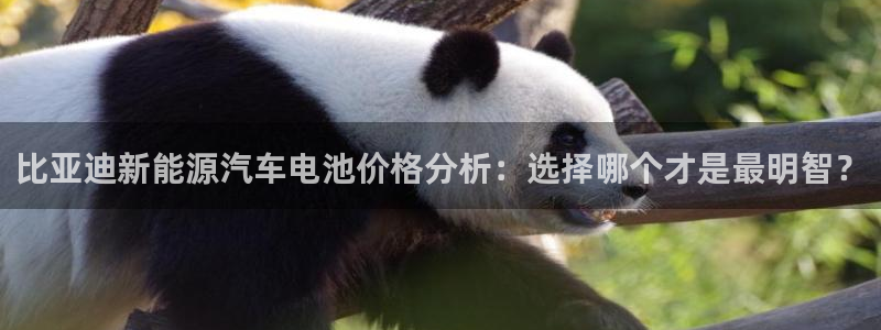 优发国际手机版客户端