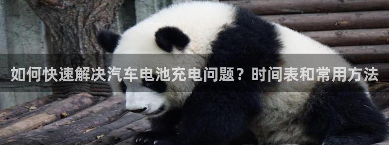 优发国际手机app下载安装官网