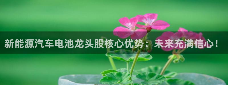 优发国际官网,首页：新能源汽车电池龙头股核心优势：未来充满信心！