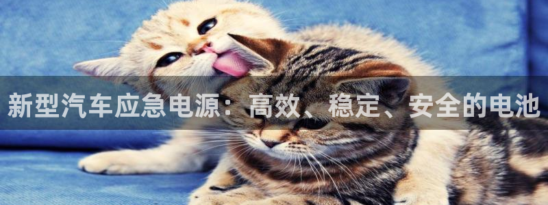 优发国际安卓版下载安装教程：新型汽车应急电源：高效、稳定、安全的电池