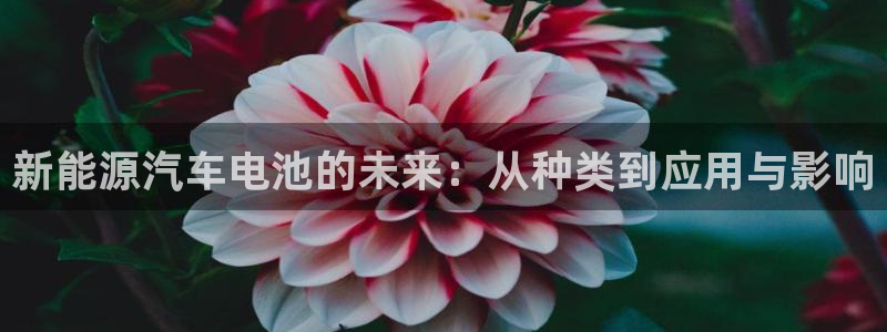 优发国际官方网手机版入口：新能源汽车电池的未来：从种类到应用与影响
