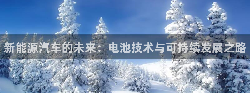 优发国际平台u8是什么：新能源汽车的未来：电池技术与可持续发展之路