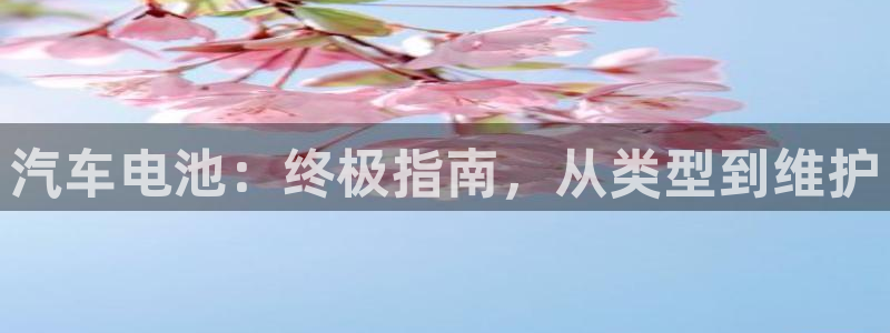 优发国际vip网址：汽车电池：终极指南，从类型到维护