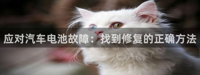 优发国际app官网下载安装：应对汽车电池故障：找到修复的正确方法