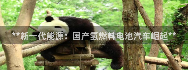 优发国际免费游戏下载：**新一代能源：国产氢燃料电池汽车崛起**